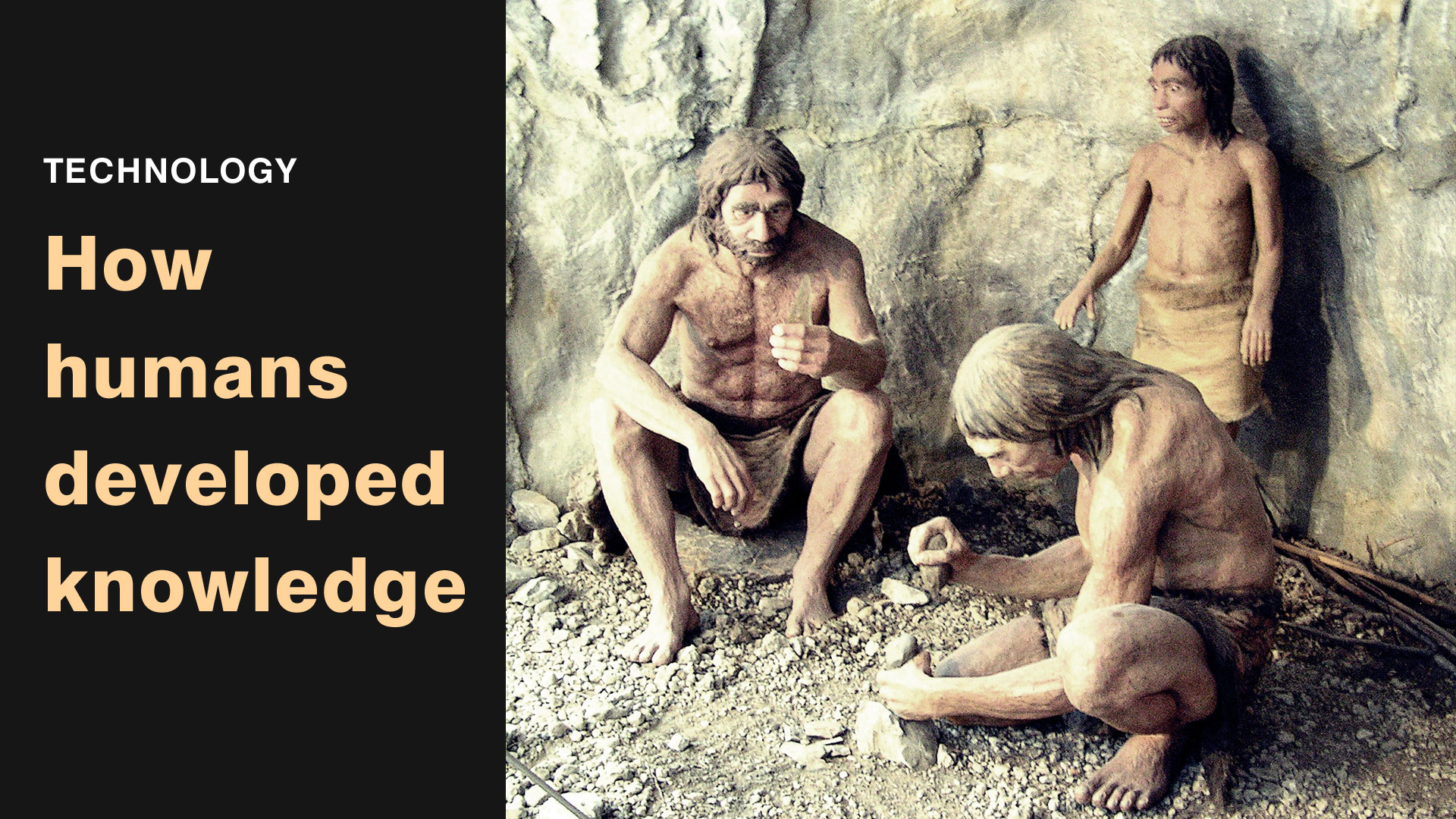 How humans developed knowledge | Human evolution | Business History